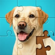 Jigsaw Puzzles Explorer